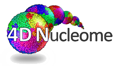 4DN Logo